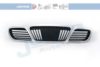 JOHNS 24 01 05 Radiator Grille